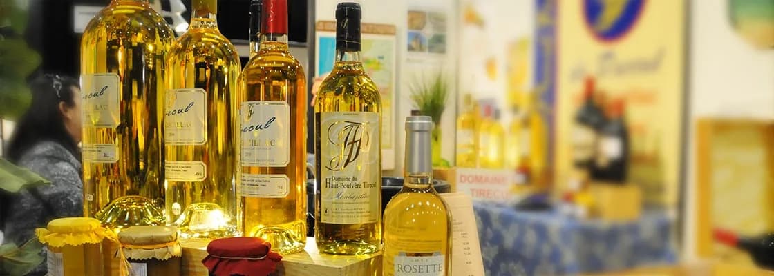 Bannière Salon des Vins de Mâcon