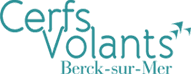 Logo RICV - Rencontres internationales de cerfs-volants
