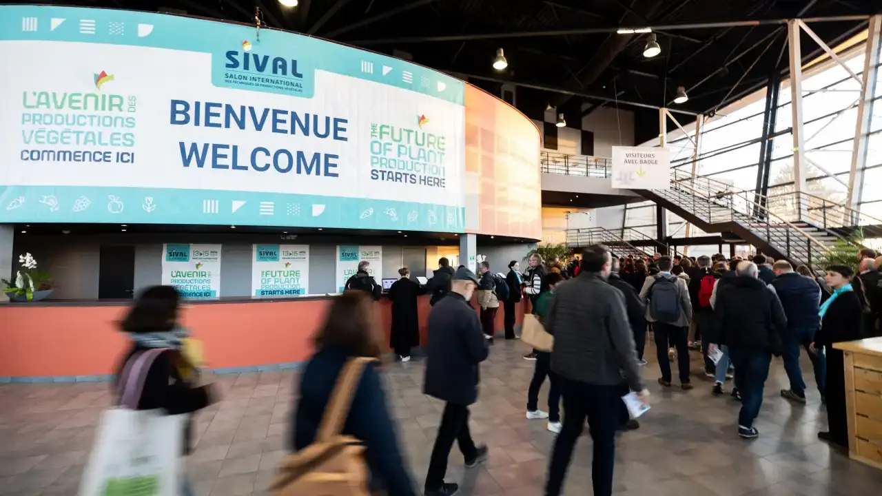 Bannière SIVAL