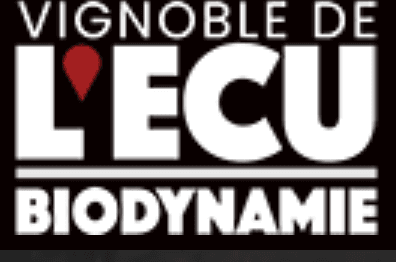 Logo Le Temps des Copains
