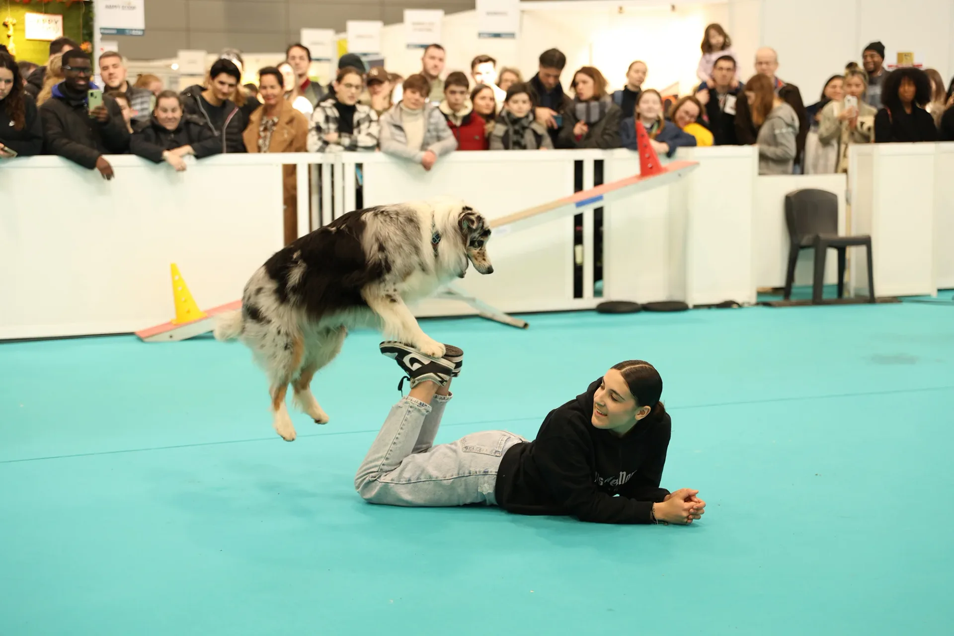 Bannière Expozoo Paris Animal Show