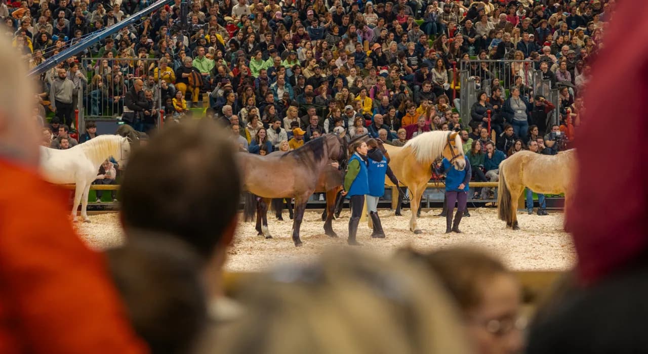 Bannière Concours Général Agricole
