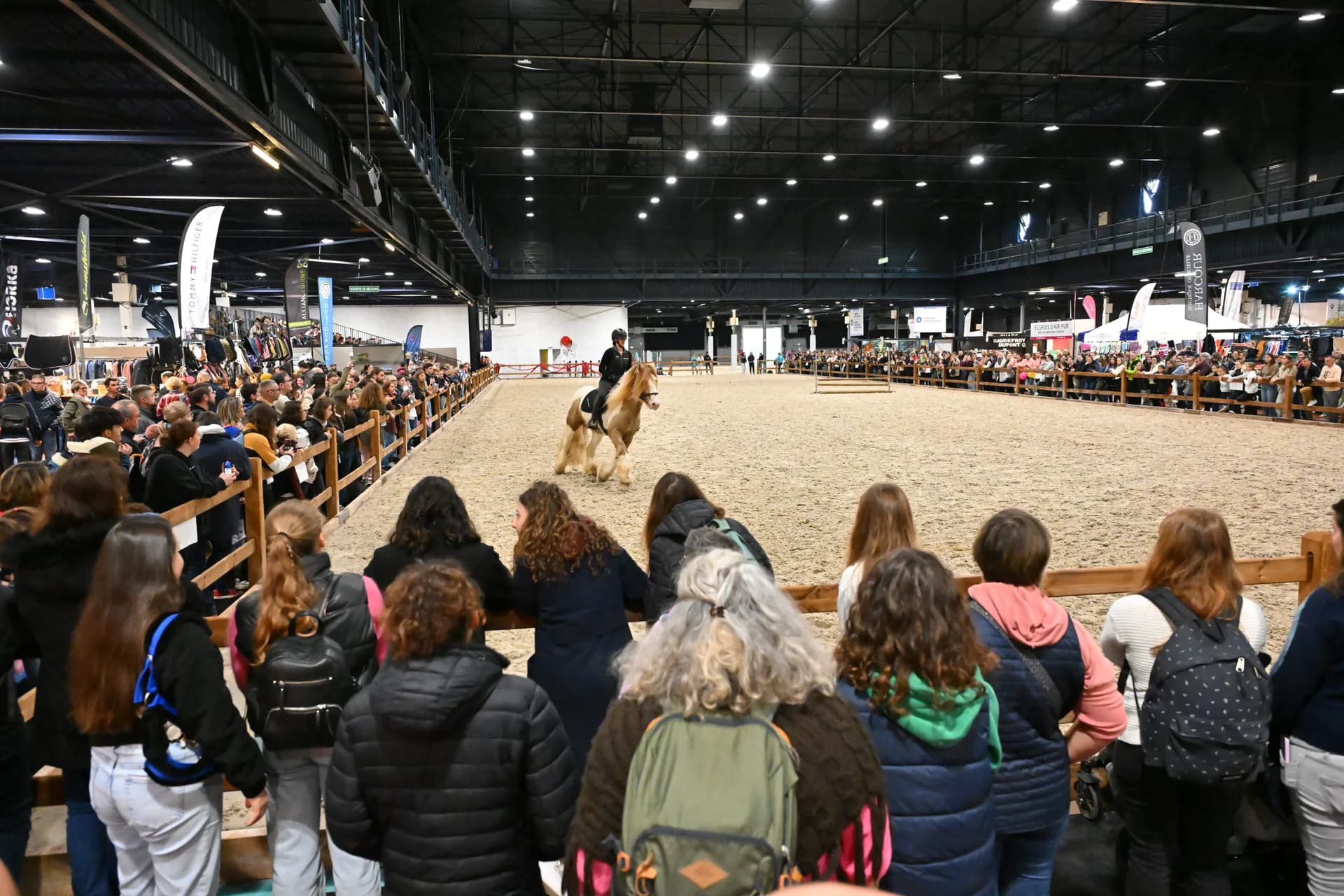 Bannière Salon du Cheval d'Angers