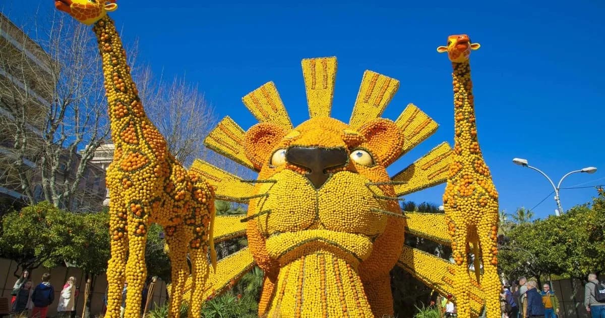 Bannière Fête du Citron