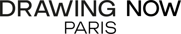 Logo Drawing Now Paris / Le salon du dessin contemporain