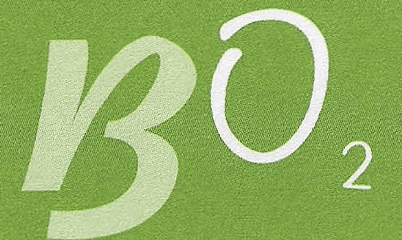 Logo Salon Livres & Patrimoines